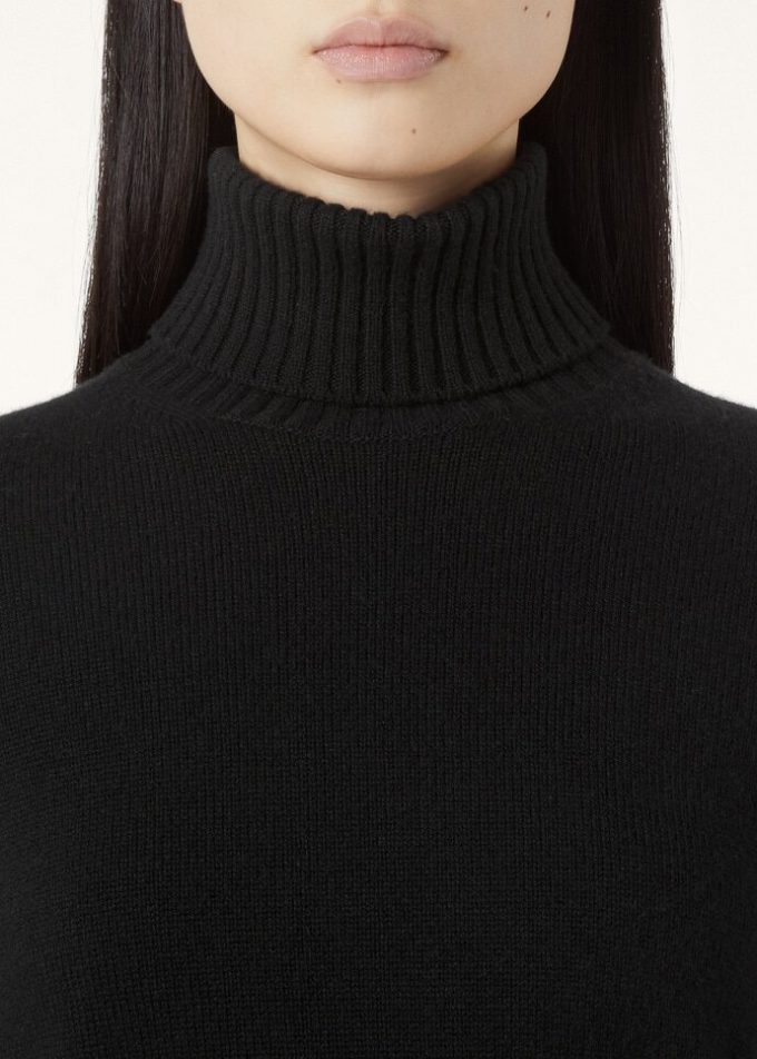 Parksville Turtleneck